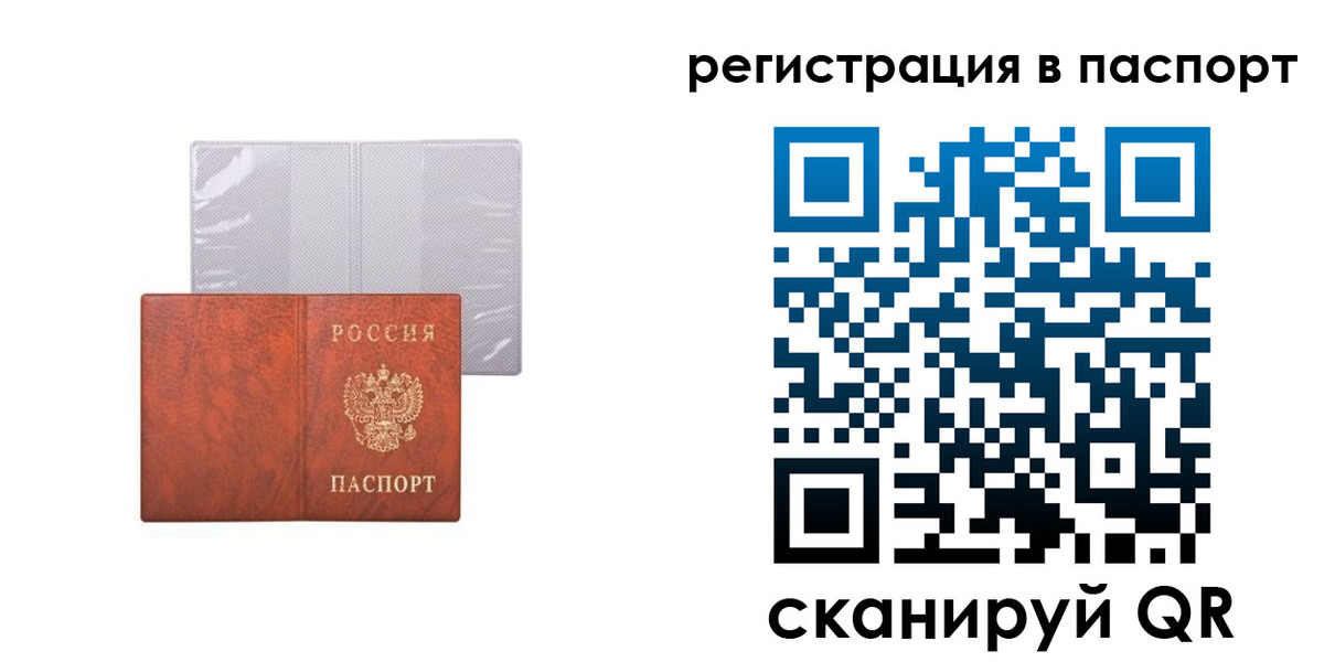 прописка в квартире в Мончегорске